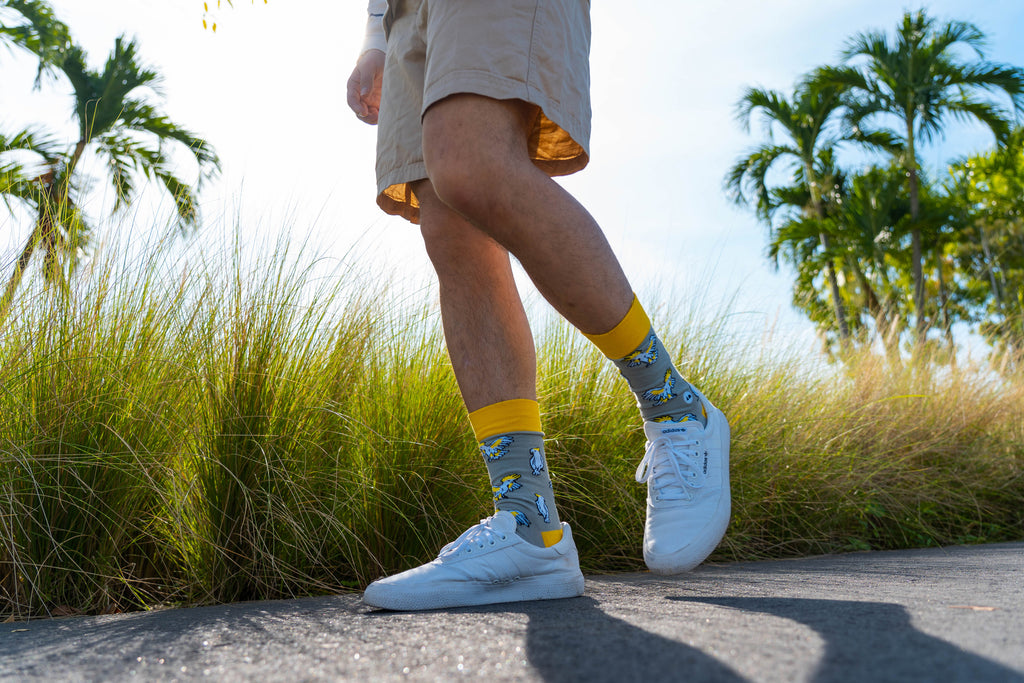 Taking Toes Talking Toes | Purpose in Every Step – Talking Toes SG